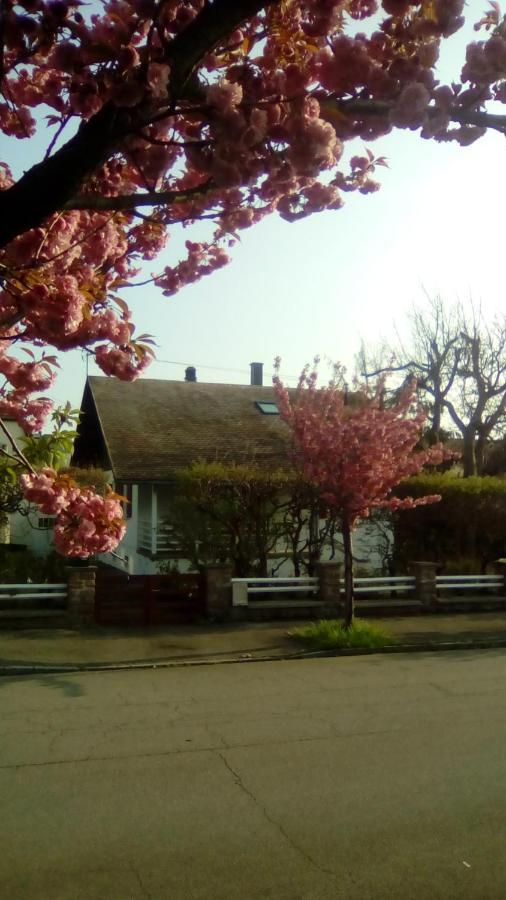 chalet montségur Villa Colmar Esterno foto
