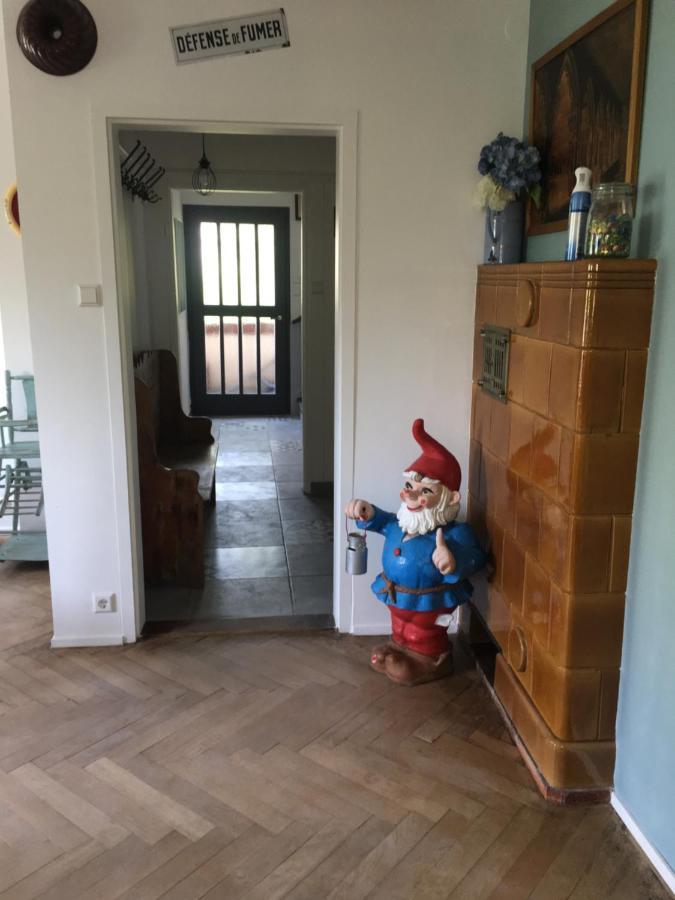 chalet montségur Villa Colmar Esterno foto